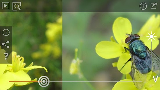 How to mod Pollinators patch 1.4 apk for pc