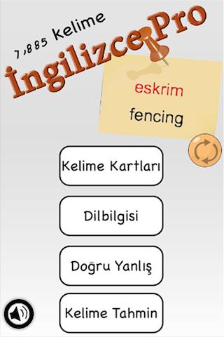 İngilizce Pro