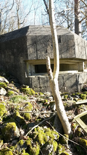 Bunker At Borrevannet