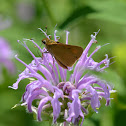 Skipper