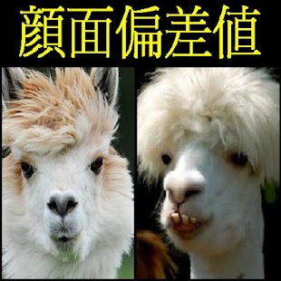 How to download 笑ってはいけない顔面診断 1.0 unlimited apk for bluestacks