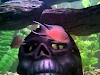 Peces Ciclidos Neolamprologus Brichardi