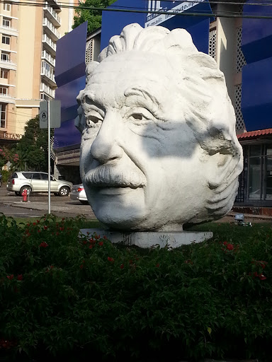 Cabeza Einstein