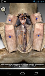 How to install Froguts Frog Dissection lastet apk for pc