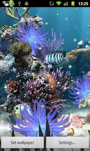 【免費個人化App】Coral Reef Live WP-APP點子