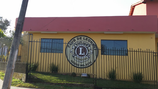 Club De Leones