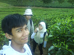 kebun tehnya ijooo banget. Wangi teh di mana-mana, ada sungai kecil... indahnya dunia..