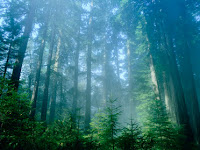 Photography_Rule_Sunny_ƒ16.jpg