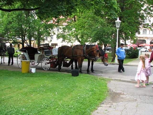 [IMG_2002 [800x600].jpg]