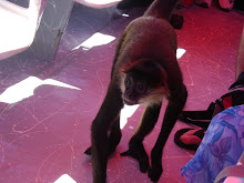 http://lh3.ggpht.com/heeringa/SP9D5rhJFYI/AAAAAAAABLc/I65diaEvydk/s220/DSC00546.JPG