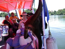 http://lh3.ggpht.com/heeringa/SP9EGeOi6bI/AAAAAAAABL8/1j5T5QplOyE/s220/DSC00551.JPG