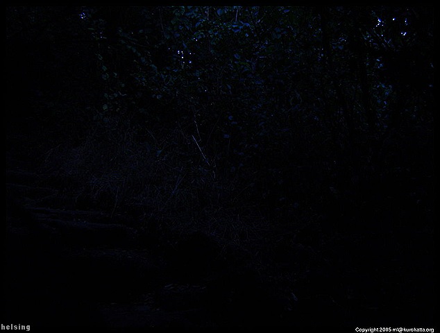 [dark[54].jpg]