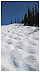 It's important to pick your line through the moguls before you descend.