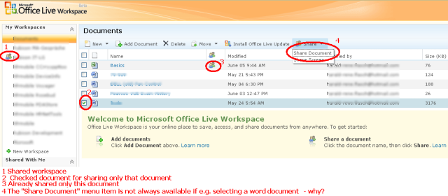 Share only some files in a workspace
