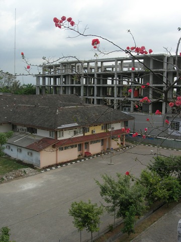[DSCN77322.jpg]