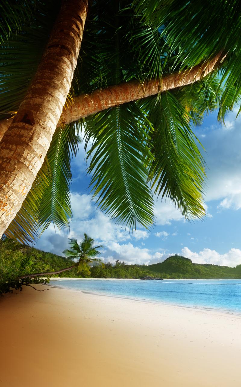 Android application Tropical Beach Live Wallpaper screenshort