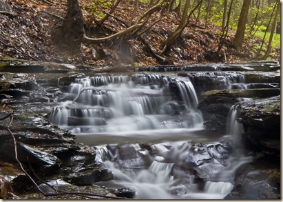 Chestnut ridge 014