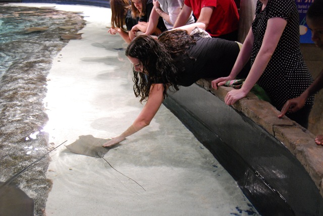 [DSC_0231[2].jpg]