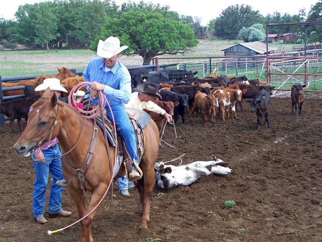 [07 16 08_1467_edited-1[3].jpg]