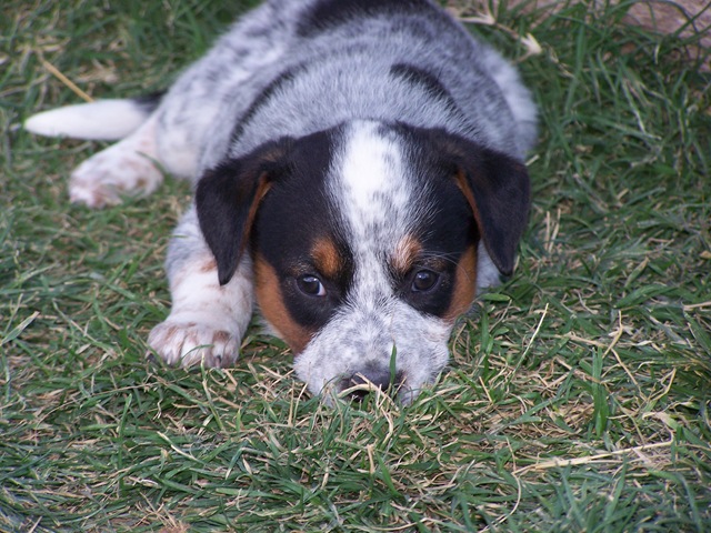 [082008_22044.jpg]