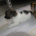 屁屁04.jpg 屁屁04.jpg