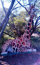Monarto Zoo: Giraffe