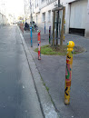 Painted Poles