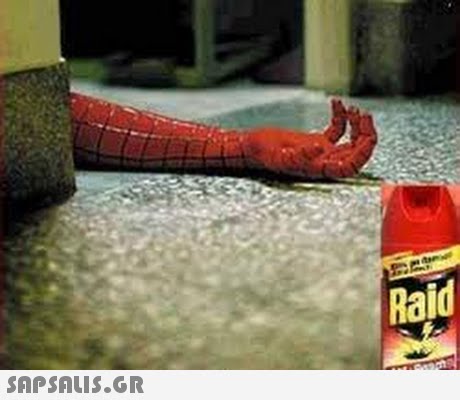 Raid 