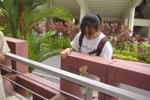 [DSC08740[4].jpg]