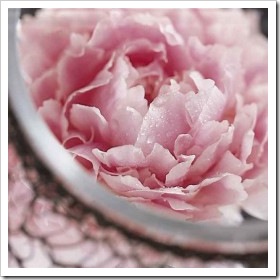 peony_big