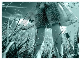 Summer_Dreams_by_DesigningDivas