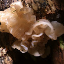 White Jelly Roll