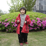  2008浒山街边公园拍的照片