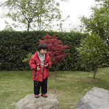  2008浒山街边公园拍的照片