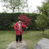 2008浒山街边公园拍的照片