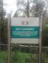 Blue Gum Reserve