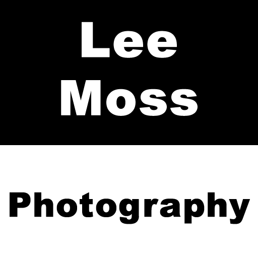 Lee Moss LOGO-APP點子