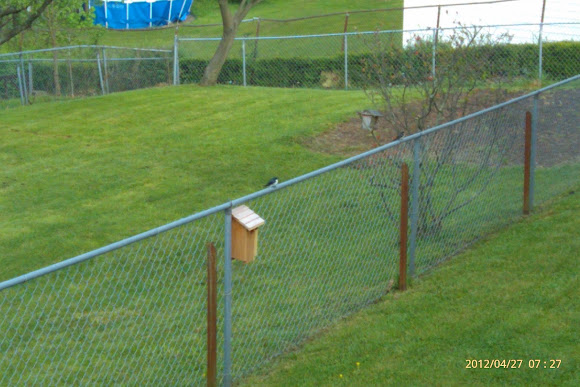 Spotting Image 1