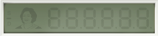 Google Doodle Shakuntala Devi's 84th Birthday