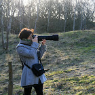 Sophie van Sassebasch