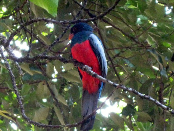 Spotting Image 1