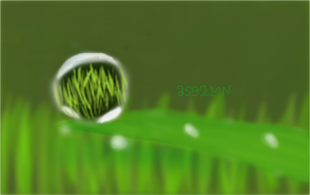 Grass' mirror 