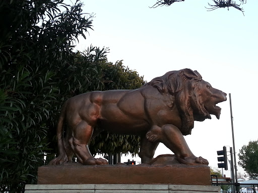 The Lions of Limassol