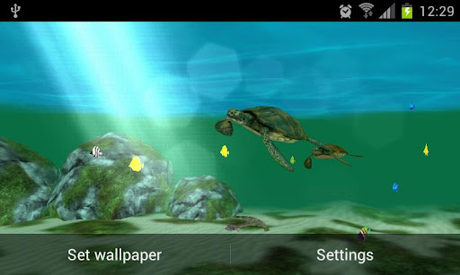 My Seaturtles HD FREE LWP