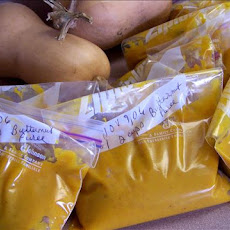 Pureed Squash Butternut, Acorn Any Hard Winter Squash!