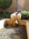 Shams Water Garden