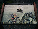 Exit Glacier Observation Point