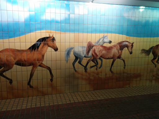 Horses in Underpass