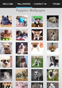 How to download Puppies Wallpapers patch 1.0 apk for pc