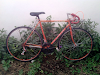 Remato Bonita Bicicleta De Carreras Ruta Ofrezc